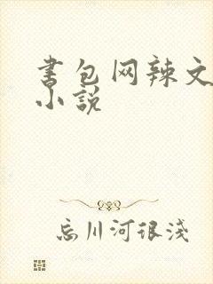 书包网辣文全本小说