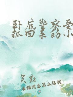卧底警察受逃跑抓回来的小说