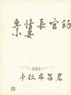 专情长官的天价小妻