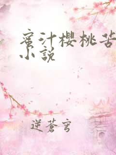 蜜汁樱桃苦咖啡小说