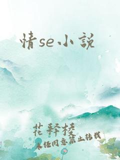 情se小说