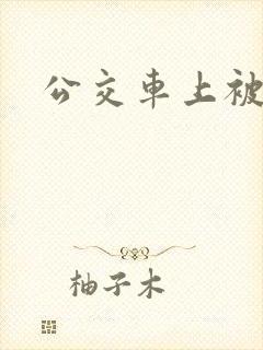 公交车上被人强
