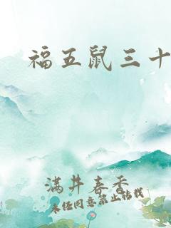 福五鼠三十六计