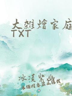 大杂烩家庭小说TXT