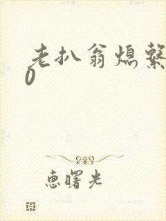 老扒翁熄系列40