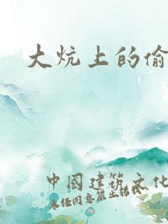 大炕上的偷乱1