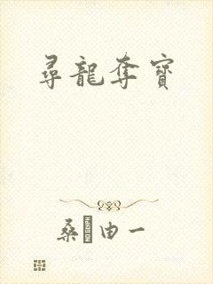 寻龙夺宝