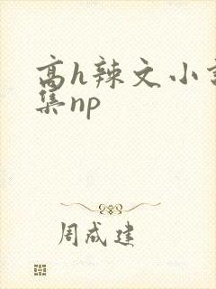 高h辣文小说合集np