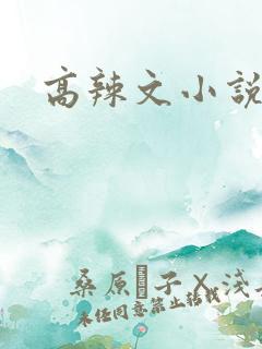 高辣文小说校园