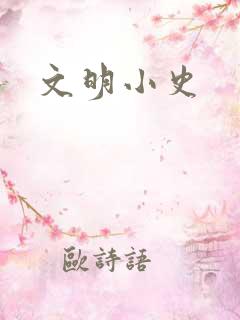 文明小史