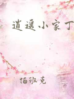 逍遥小家丁.