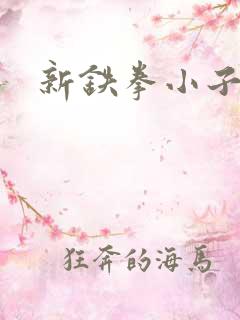 新铁拳小子