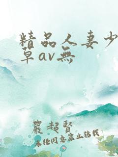 精品人妻少妇嫩草av无