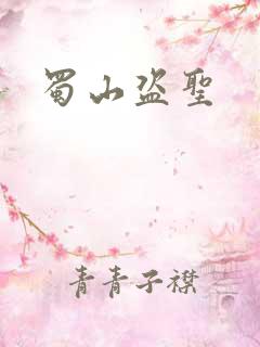 蜀山盗圣