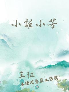 小说小芳