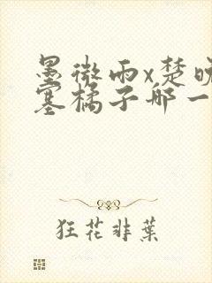 墨微雨x楚晚宁塞橘子哪一章