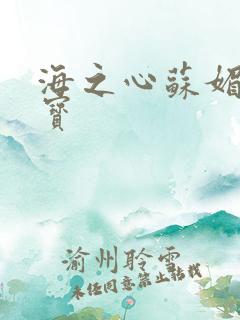 海之心苏媚赵大宝
