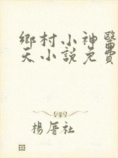 乡村小神医林小天小说免费阅读