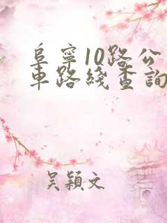 阜宁10路公交车路线查询
