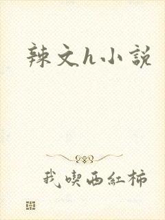 辣文h小说