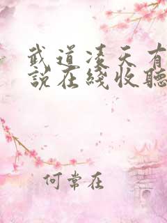 武道凌天有声小说在线收听