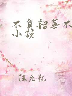 不负韶华不负卿小说