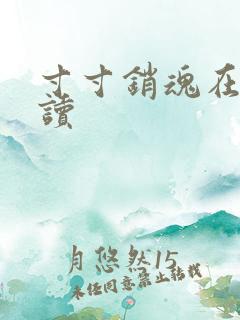 寸寸销魂在线阅读