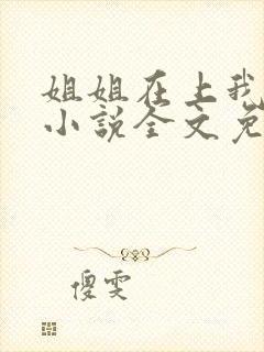 姐姐在上我在下小说全文免费阅读