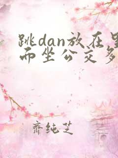 跳dan放在里面坐公交多人
