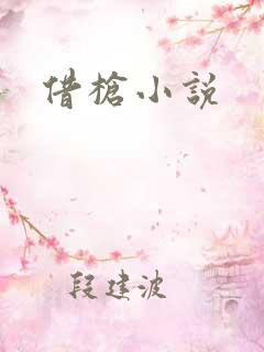 借枪小说