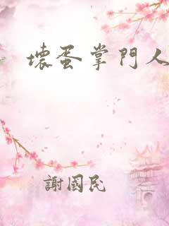 坏蛋掌门人