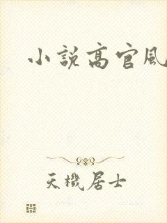 小说高官风流