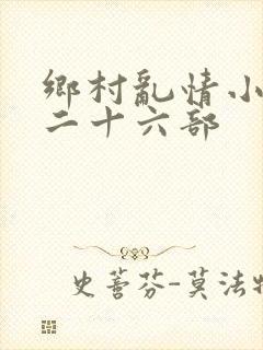 乡村乱情小雷第二十六部