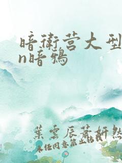 暗卫营大型hpn暗鸦