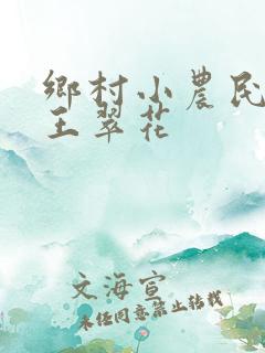 乡村小农民小说王翠花