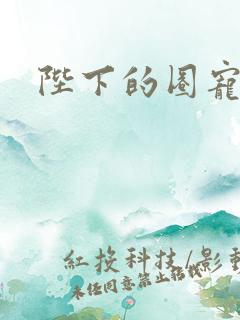 陛下的圈宠