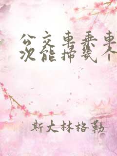 公交车乘车码一次能扫几个人