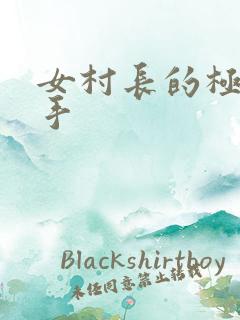女村长的极品高手