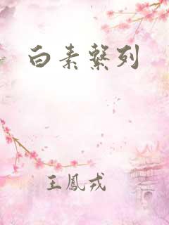 白素系列
