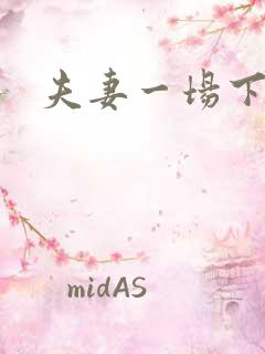 夫妻一场下载