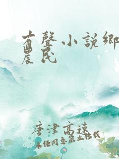 有声小说乡村小农民