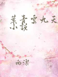 叶青云九天玄宗小说
