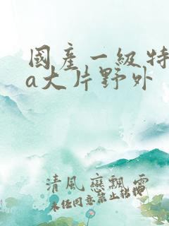 国产一级特黄aa大片野外