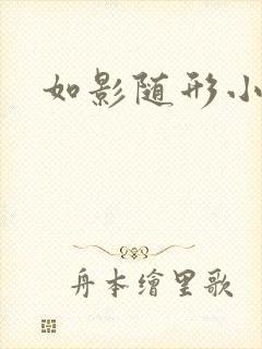 如影随形小说