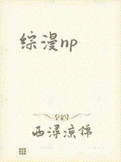 综漫np
