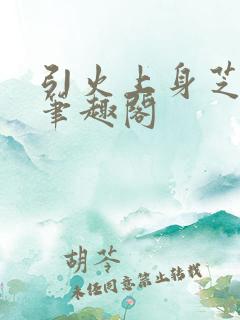 引火上身芝麻糖笔趣阁