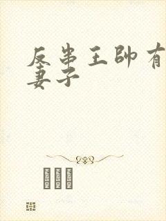 反串王帅有几任妻子