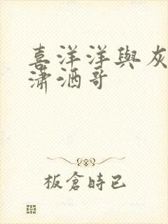 喜洋洋与灰太狼潇洒哥