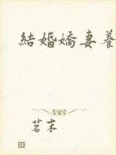 结婚娇妻养成