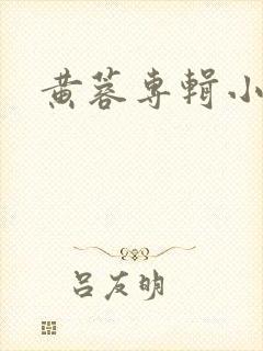 黄蓉专辑小说